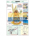 Wind Mill Chart