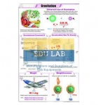 Gravitation Chart