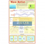 Motion Chart