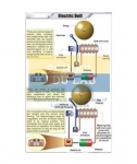 Electric Bell Chart