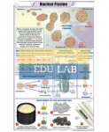 Nuclear Fusion Chart