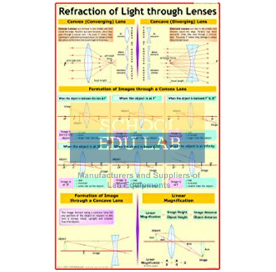 Reflection of Light Chart