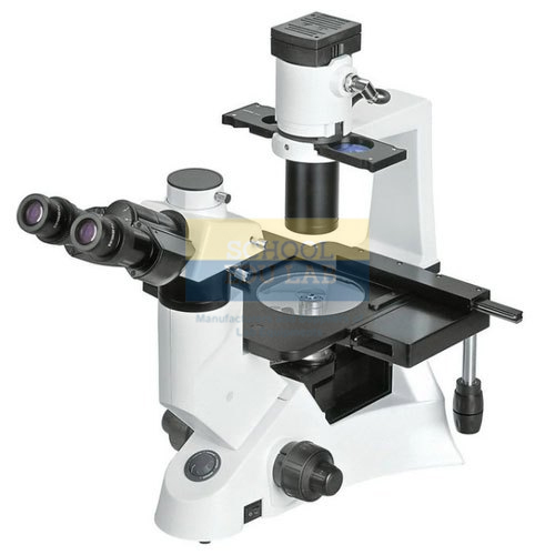 Inverted Phase Contrast Microscope