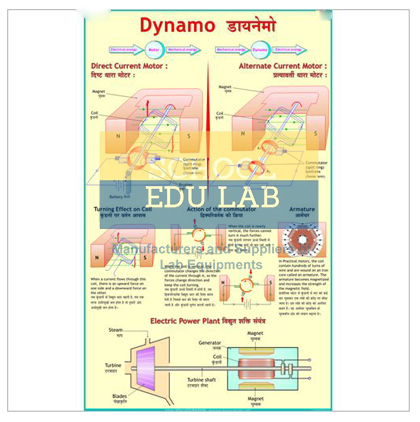 Dynamo Chart