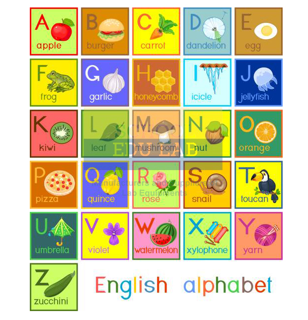 Tamil Alphabet Chart Suppliers, Tamil Alphabet Chart Exporters,Tamil