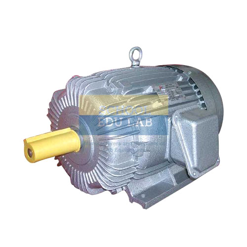 Three Phase Wound Rotor Induction Motors