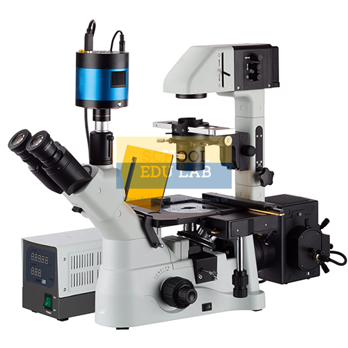 Inverted Fluorescence Microscope