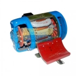 Sectional Front View of DC Motor - Working Model