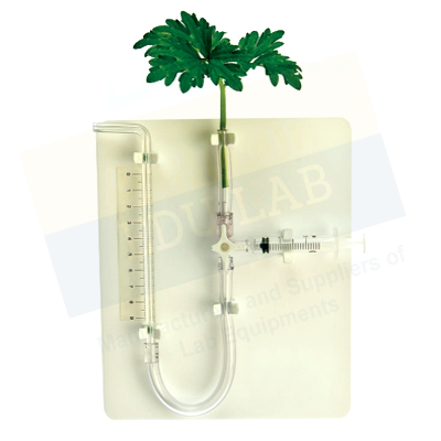 Potometer