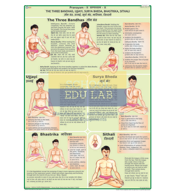 Bandhas and Pranayam Chart