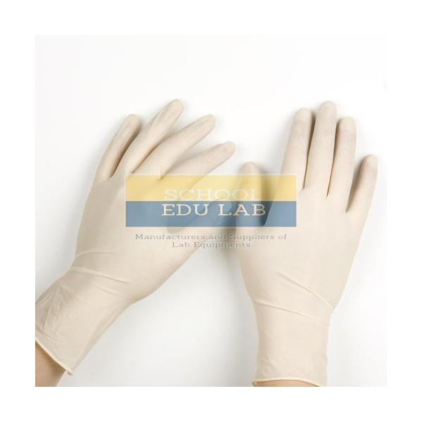 Examination Gloves Latex Powder Free