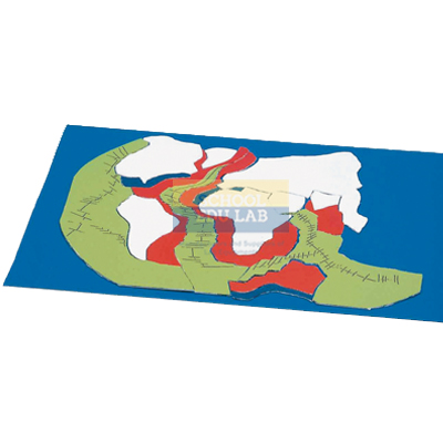 Sea Floor Spreading Activity Model