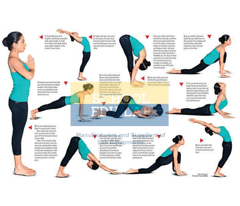 Paschimottanasana and Ardha Matsyendrasana Chart