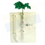 Potometer