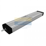Linear Unit